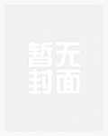 大龟甲师（中）